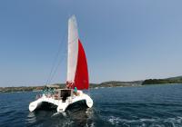 neel 45 multihull sailing to harbor